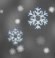 Light snow, Mist, Overcast Light snow, Mist, Overcast