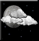 Tonight: Mostly Cloudy then Chance Rain Showers